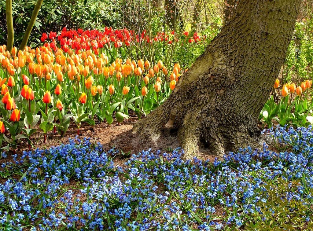 Kien Bed & Breakfast Studio'S Amsterdam Esterno foto
